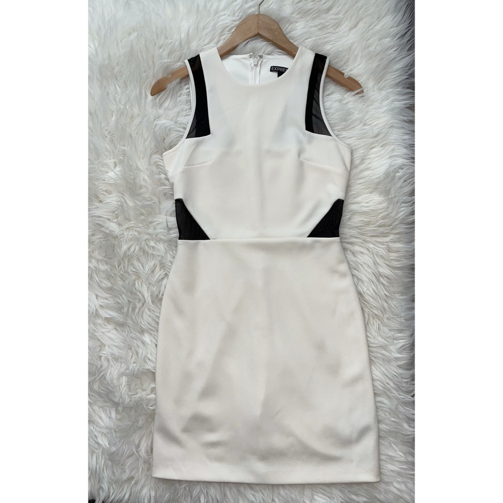 Express dress size 6